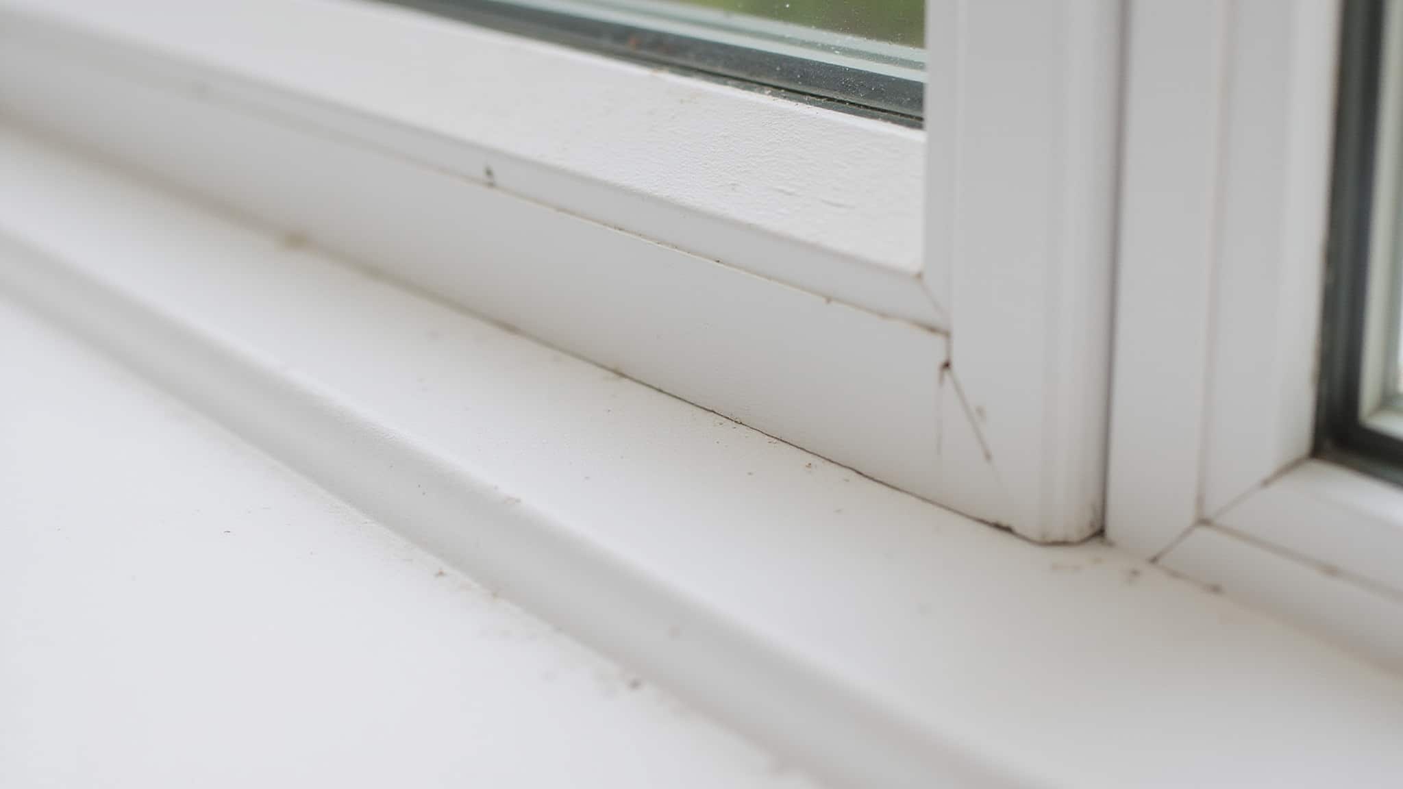 warm edge thermal break performance